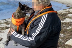 IMG-20191006-WA0008