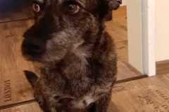 IMG-20191021-WA0010