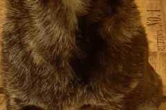 IMG-20191021-WA0013