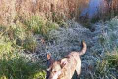 IMG-20191030-WA0026