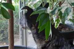 IMG-20200314-WA0009