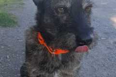 IMG-20200314-WA0011